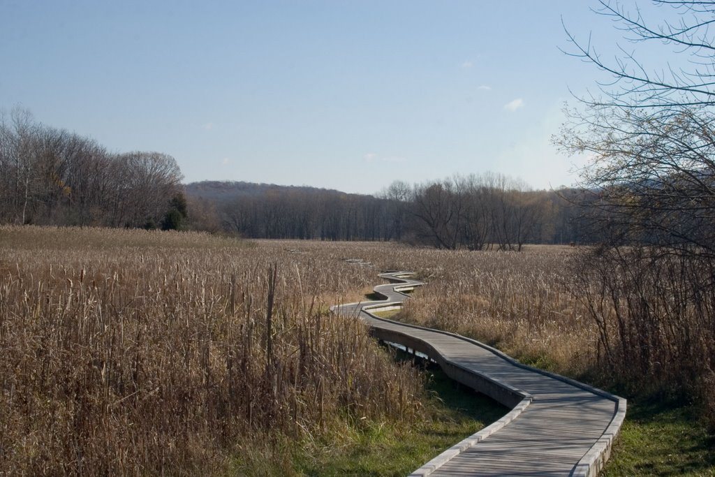 raised boardwalk-style trail over marsh